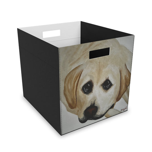 Storage Box Hand Painted Original Art  "Cooper" - Square Storage Box